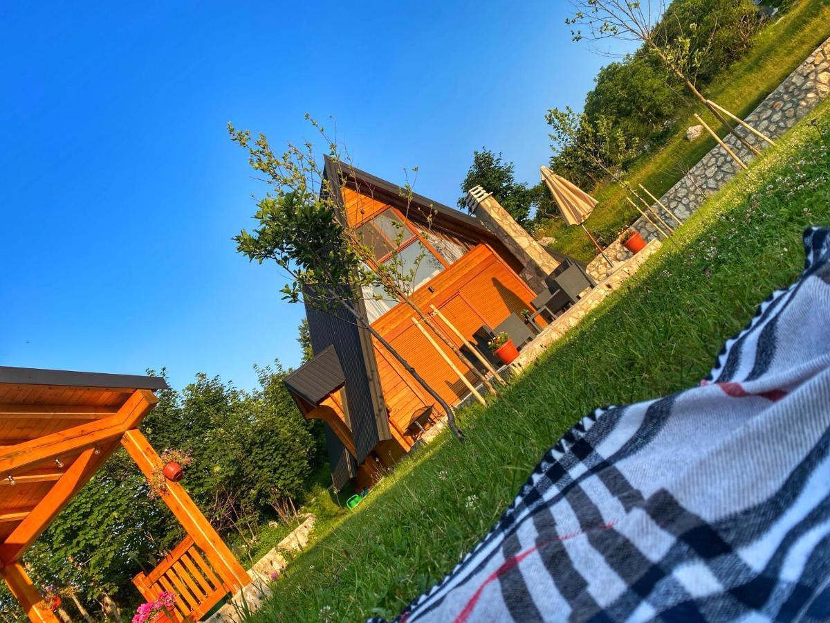 Holiday home Albero Casa
