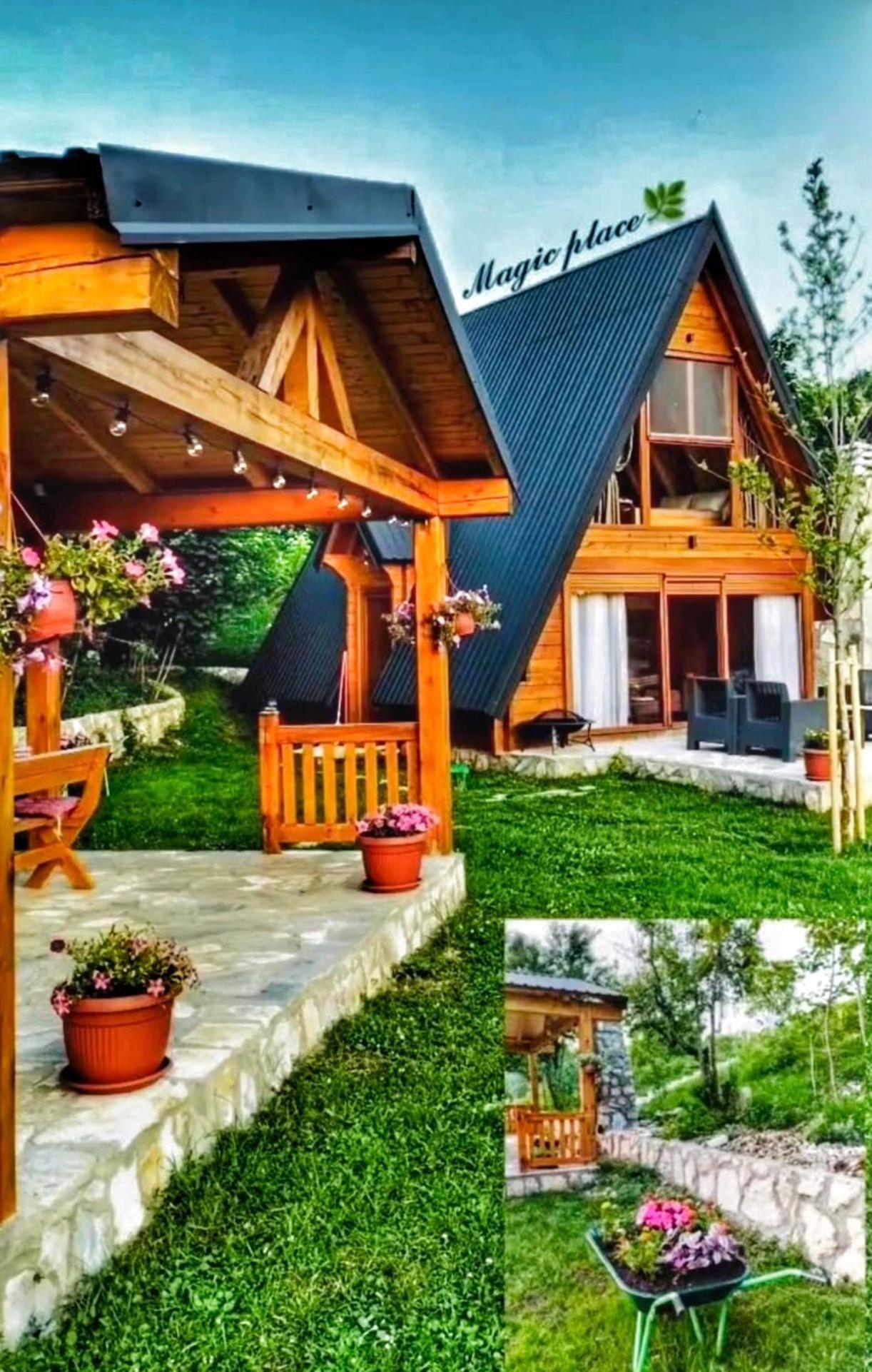 Albero Casa * Cetinje