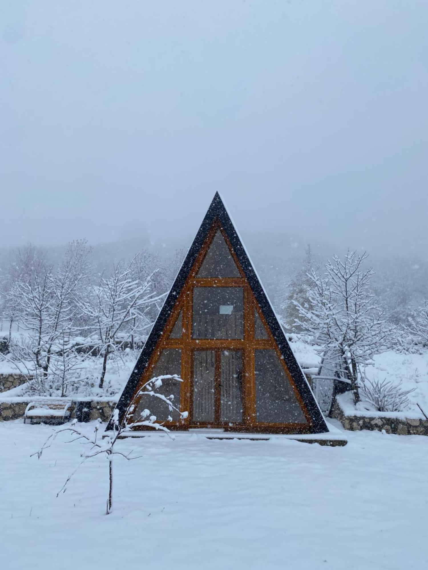 Holiday home Albero Casa *