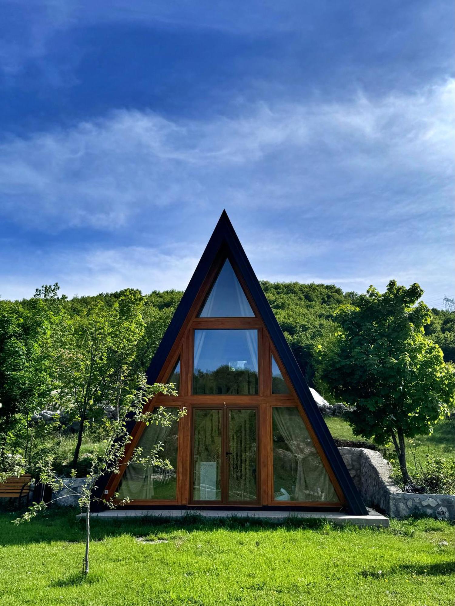 Albero Casa *