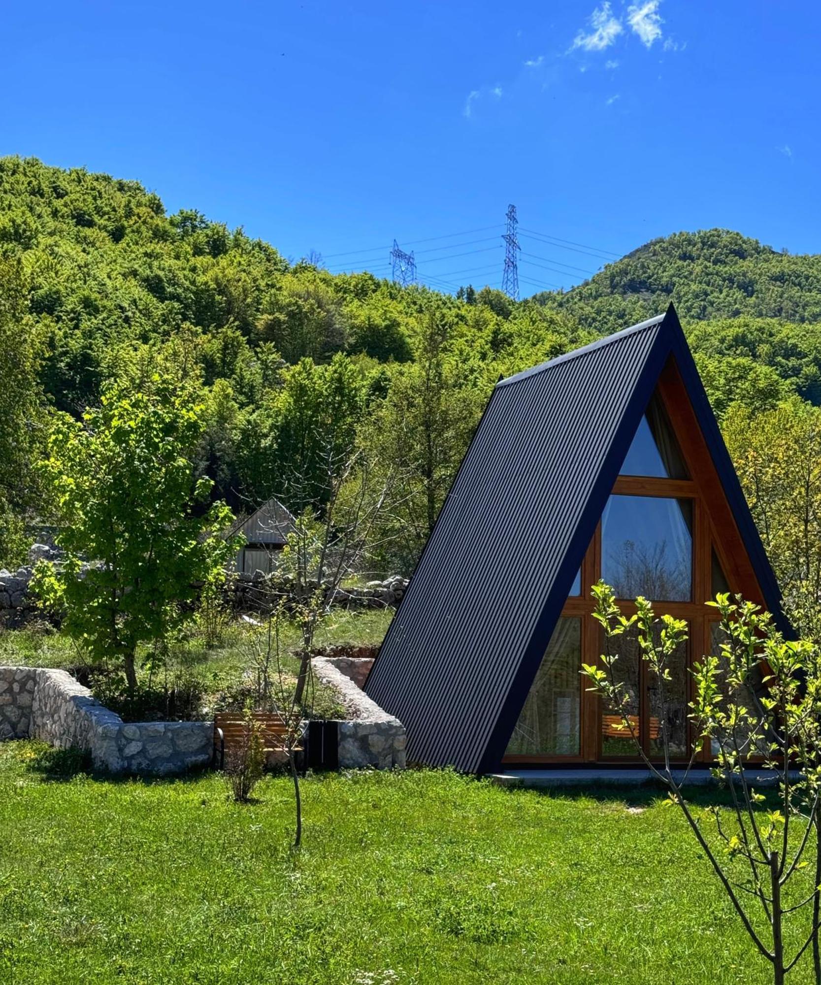 Albero Casa Цетине