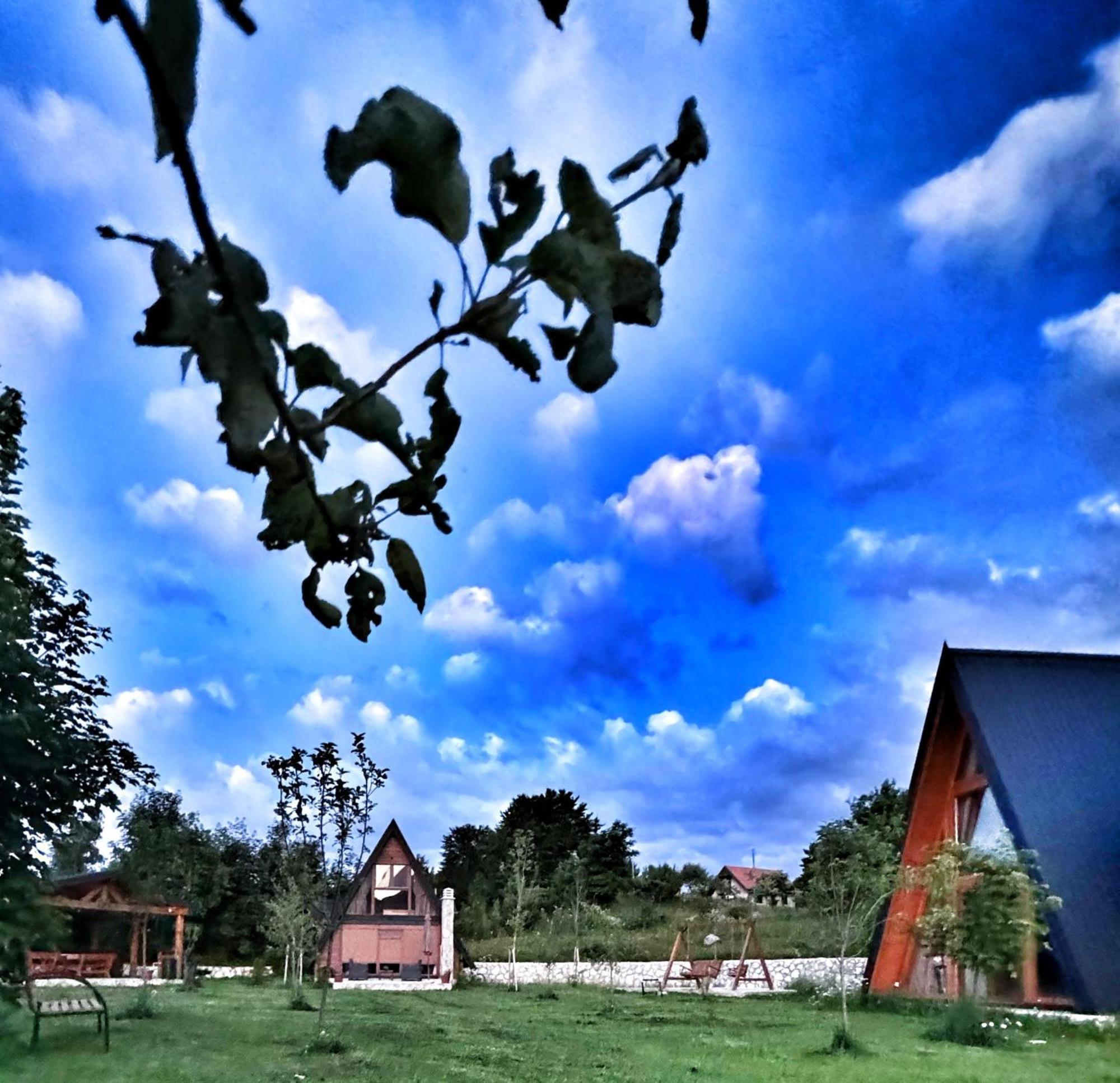 Albero Casa Дом отдыха Цетине