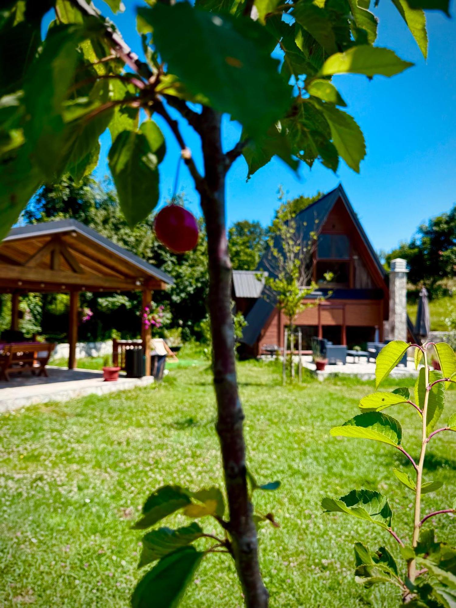 Дом отдыха Albero Casa Цетине